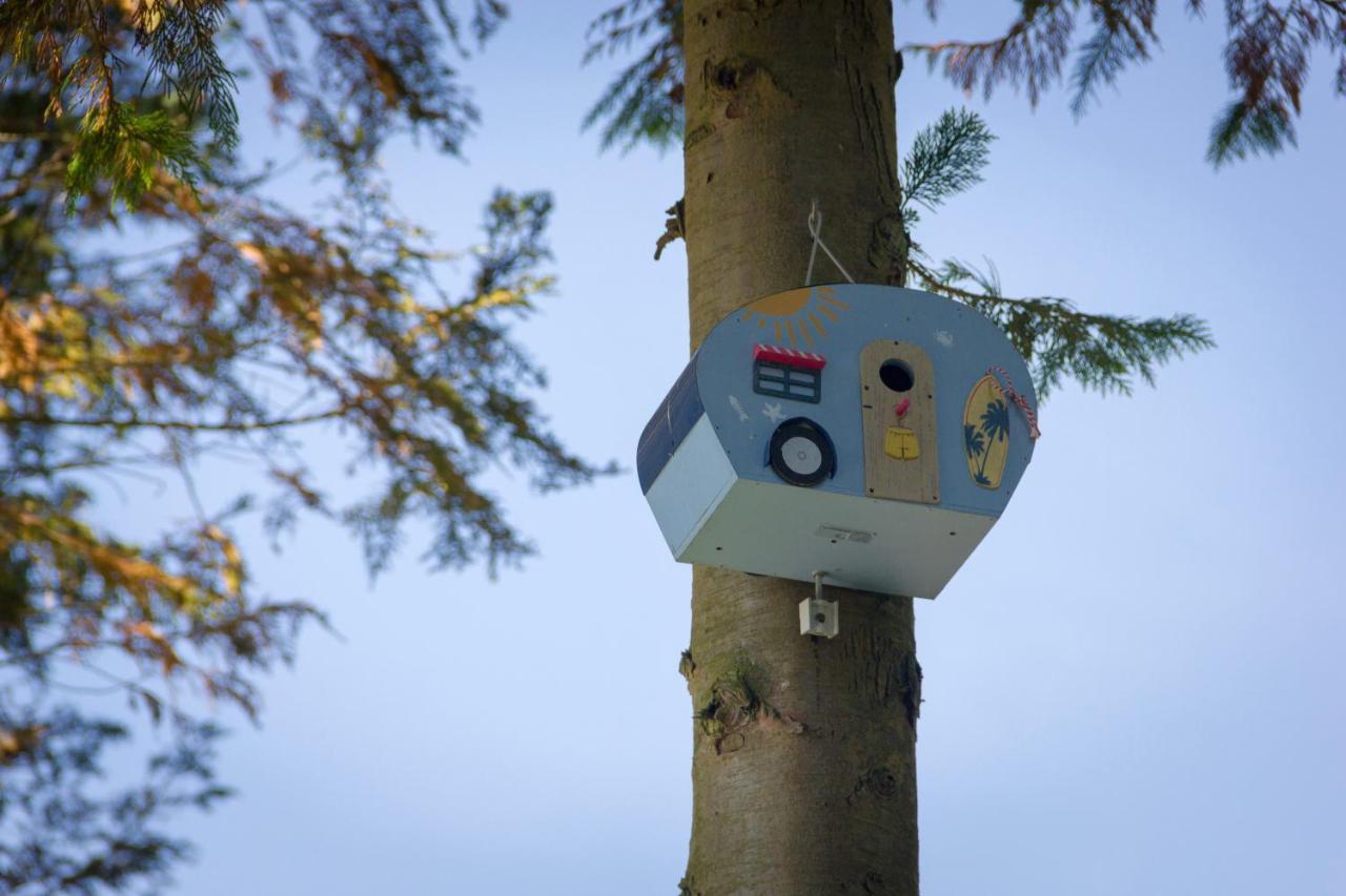 Camping Het Vossenhol Ermelo Kültér fotó